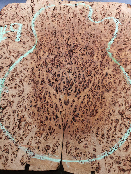 Set #10: Figurative Eucalyptus for Les Paul Drop Top