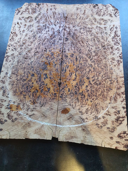 Set #9: Tasmanian Eucalyptus Burl Drop Top