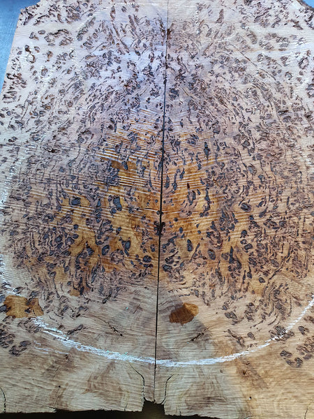Set #9: Tasmanian Eucalyptus Burl Drop Top