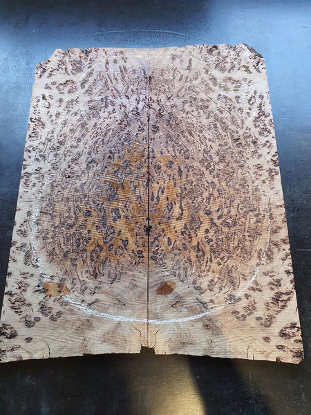 Set #9: Tasmanian Eucalyptus Burl Drop Top