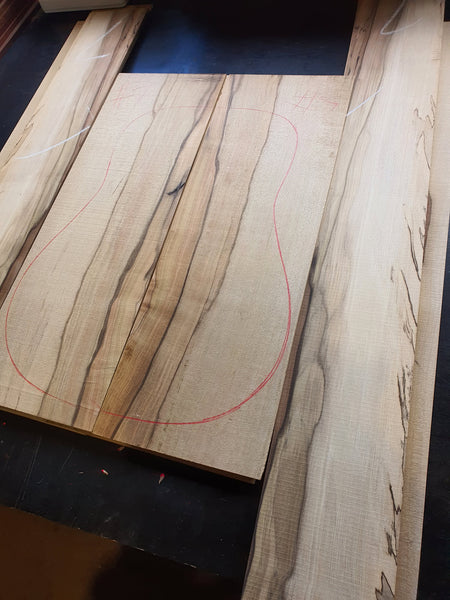 Set #7 Tasmanian Blackhearted Sassafras Back & Sides