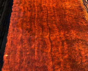 Western Australia Lace Sheoak Acoustic Guitar Sets Coming Soon