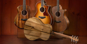 Taylor Guitars put Tasmanian Tonewoods on display