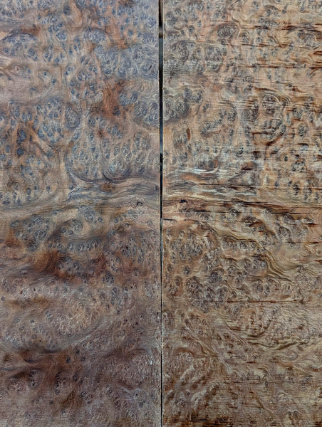 Set #17 Ribbed Fruited Mallee Burl