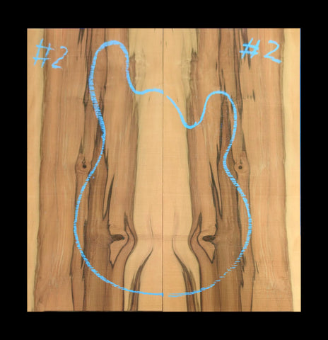 Set #2 Tasmanian Blackhearted Sassafras Top