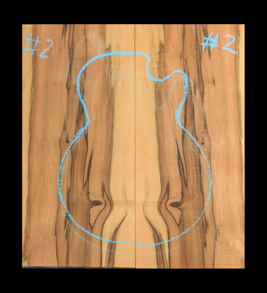 Set #2 Tasmanian Blackhearted Sassafras Top