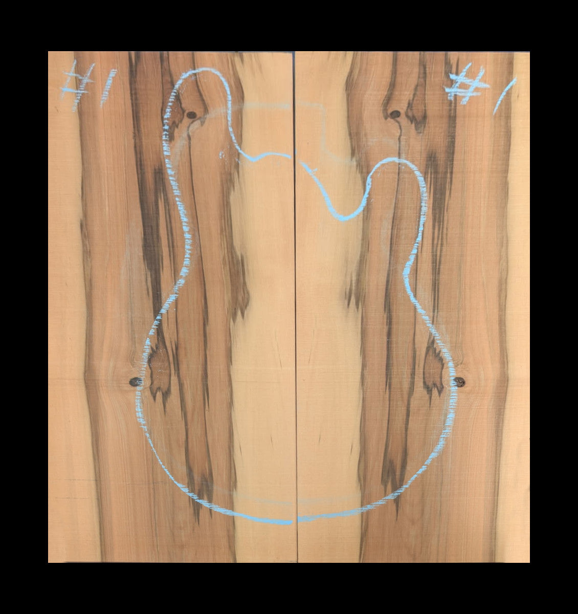 Set #1 Tasmanian Blackhearted Sassafras Top