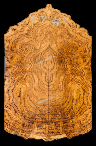 Set #7 Tasmanian Mountain Ash burl drop top