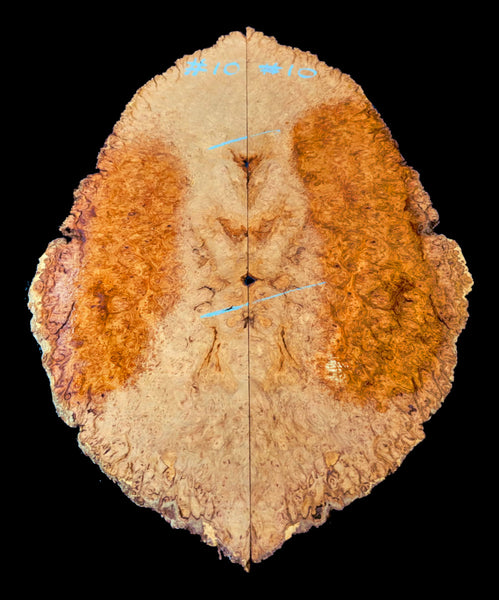 Set #10 Marbled Eucalyptus burl drop top