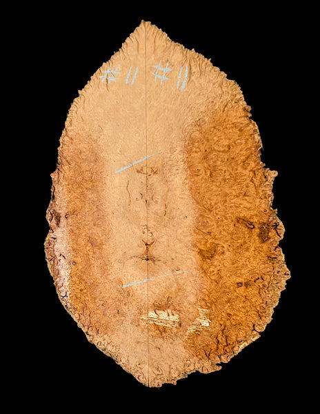 Set #11 Marbled Eucalyptus burl drop top