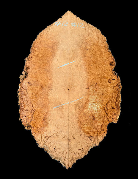 Set #12 Marbled Eucalyptus burl drop top