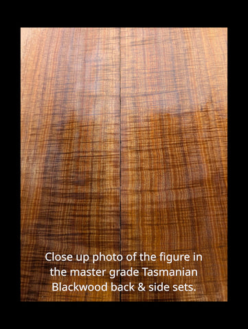 Set #1 Tasmanian Blackwood Back & Sides.