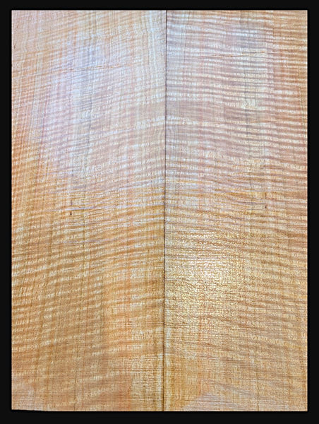 Set #02 Tasmanian fiddleback mountain ash for carve top