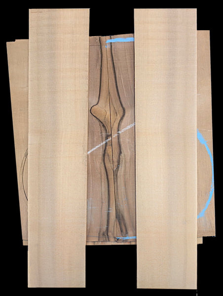 Set #111 Tasmanian Black Hearted Sassafras