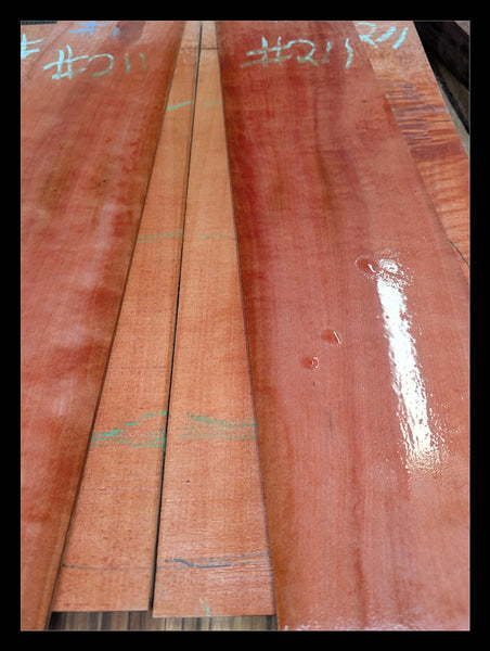 Set #211 Tasmanian Myrtle