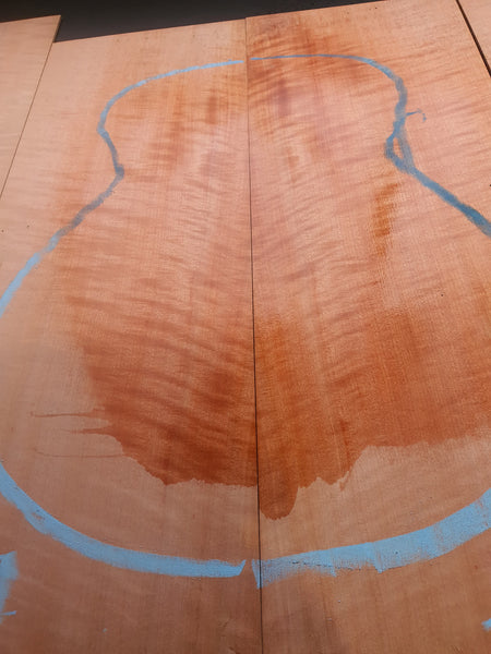 Set #21 Tasmanian Myrtle Back & Sides
